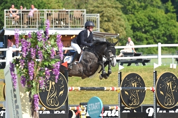 Al Shira’aa Young Horse Championships return to Bolesworth